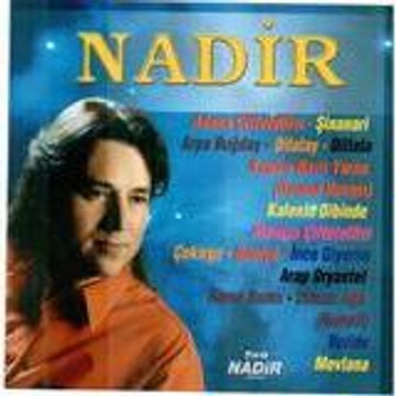 Nadir Saltık