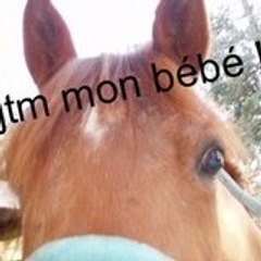 petiteficelle83>>superboob