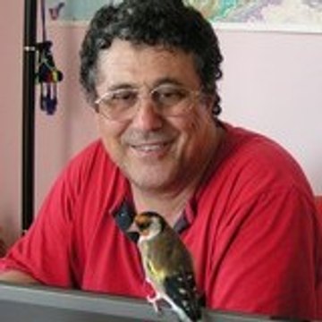 Panagiotis MERMINGAS