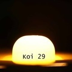 koi29 paris