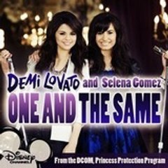 SelGomezDemiLovato19