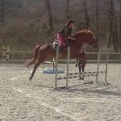 Leilat-du-pin