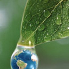 ecogeoman