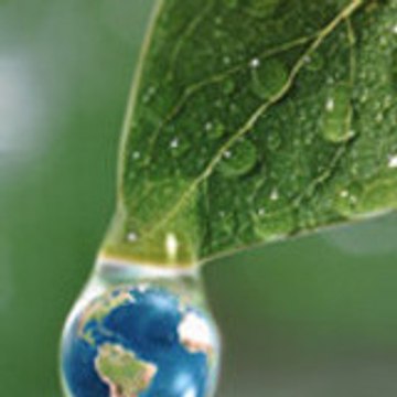 ecogeoman