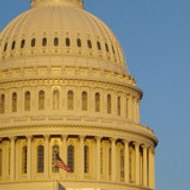 Considering Democracy  8 Things to Ask Your Repres