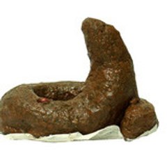 Personne ne le saura