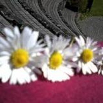 Lululaknack