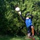 zac59880