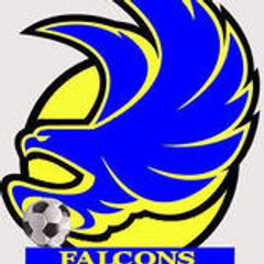 falcons3738