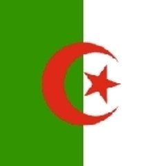 niiniissa