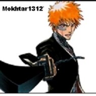 mokhtar1312