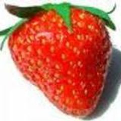 miiss-fraiises
