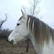 Fanny van Rysselberghe