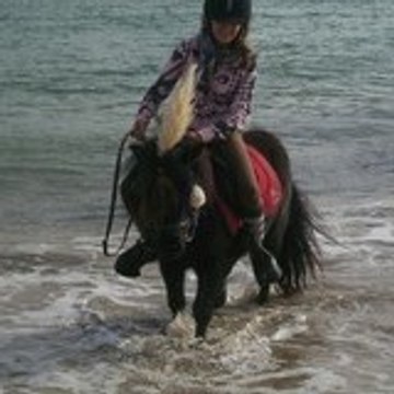 Et Quoi D'Autre Encore ?