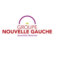 Groupe Socialistes et apparentés