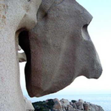 www.novo.fr