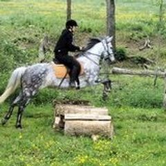 Gatoune58