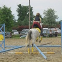 palos71