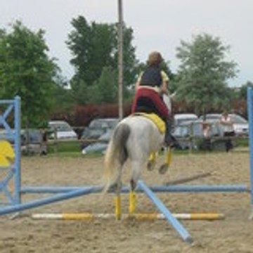 palos71