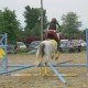 palos71