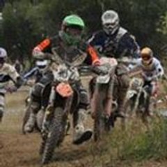 will433