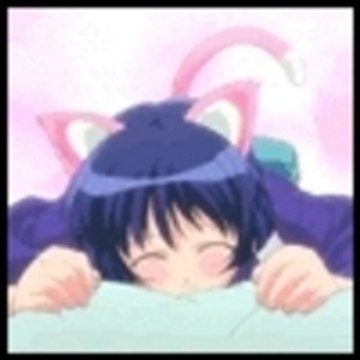 yuri-blume