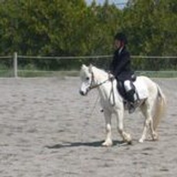antodesahp