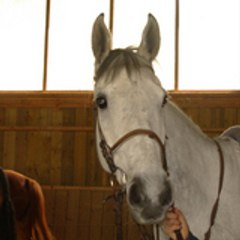 flambeau35