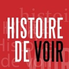 Histoire de Voir