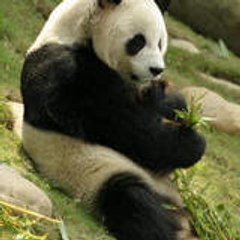 POandCo