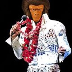 Mathieu Latulippe (vorace@netcourrier.com)