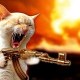 zuzumaky