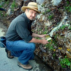 David Sibray