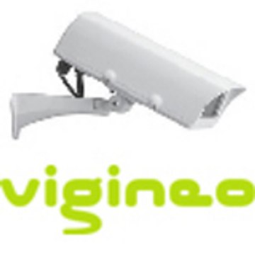 vigineo