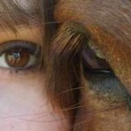 Mélodie avecdesroses