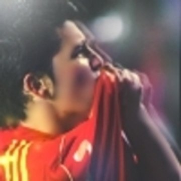 Pato11Brazil