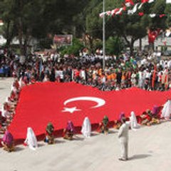 neseli09
