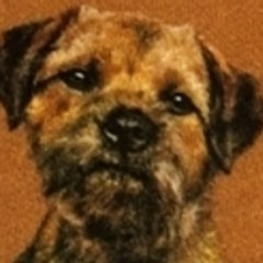 le-chien-loutre