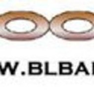 blbbandrocks