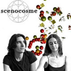 Scenocosme