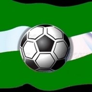 FOOTBALL CLUB ASSOCIATIF DOZULEEN