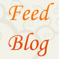 FeedBlog.fr
