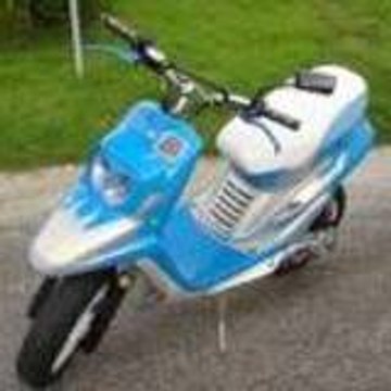 loris3869