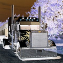 mxx8181