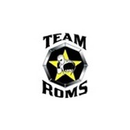 team-roms