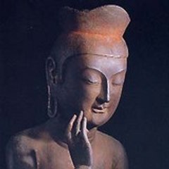 2008oyazi