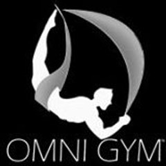 Omni Gym YogaSwing