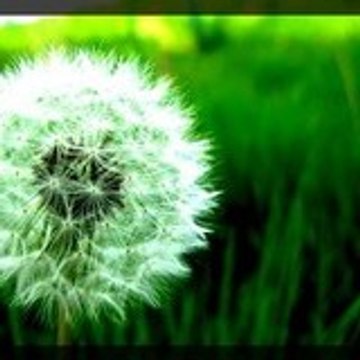 xall_these_thingsx