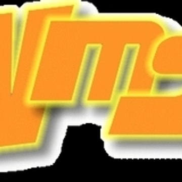 Team VMS