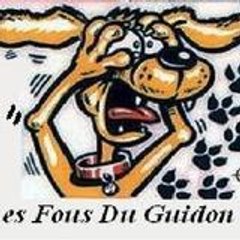 Lesfousduguidon